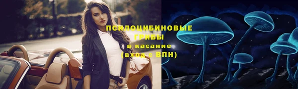 ешки Алексеевка