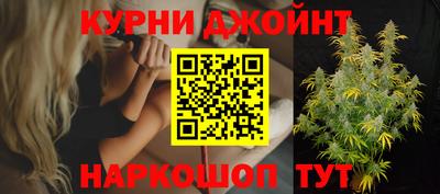 крисы Ирбит