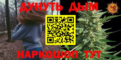 крисы Ирбит