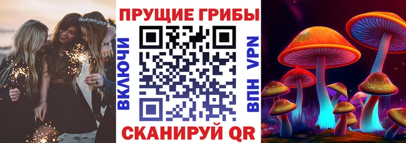 Псилоцибиновые грибы мицелий  Россошь 