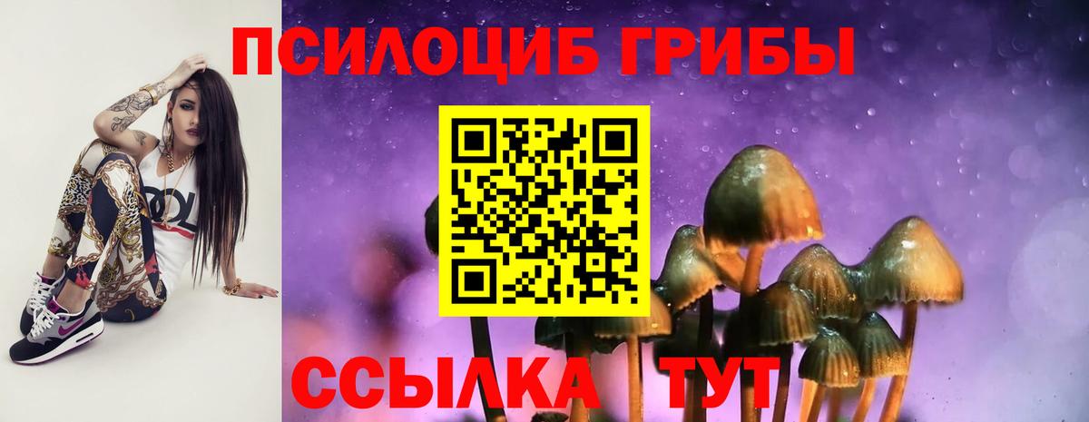 продажа наркотиков  Вход с VPN  Россошь  Галлюциногенные грибы мицелий 
